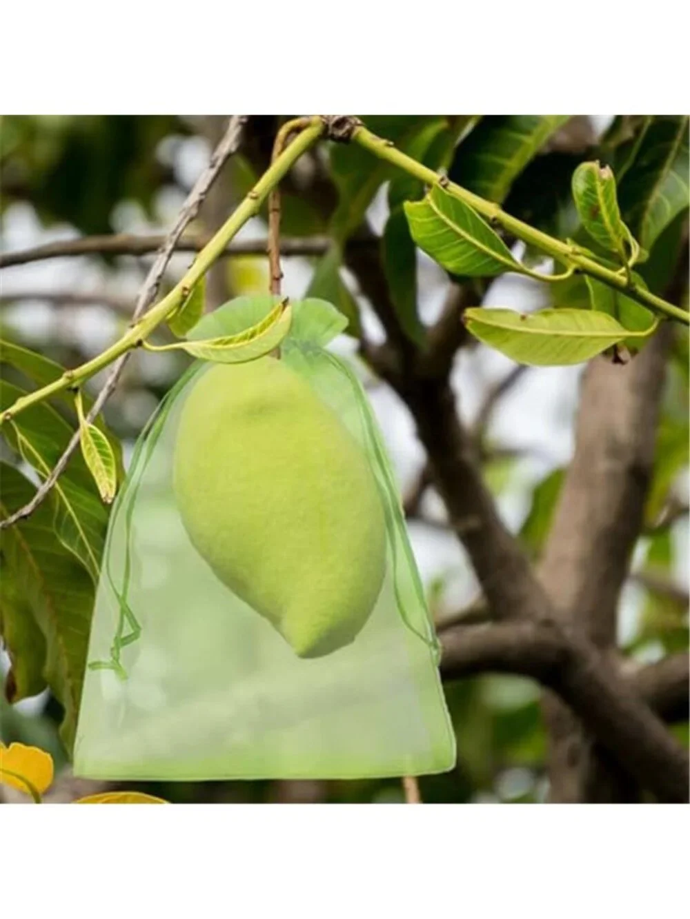 100 Pcs Fruit Protection Bags 8 x 12 Inch Green Netting Cover Bags